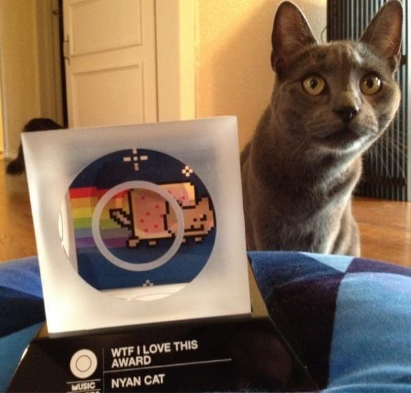 The Cat Who Inspired Nyan Cat is no Longer