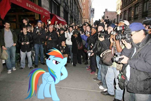 Lonely Bronies Found Photoshop. This is What Happened