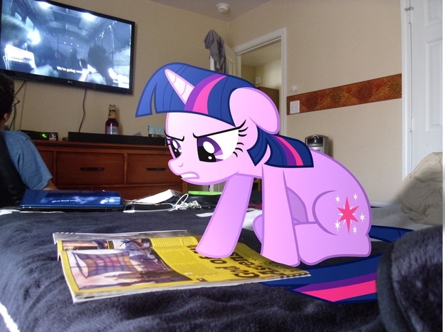 Lonely Bronies Found Photoshop. This is What Happened