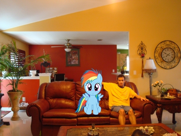 Lonely Bronies Found Photoshop. This is What Happened