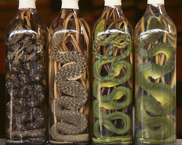 Snake Wine
