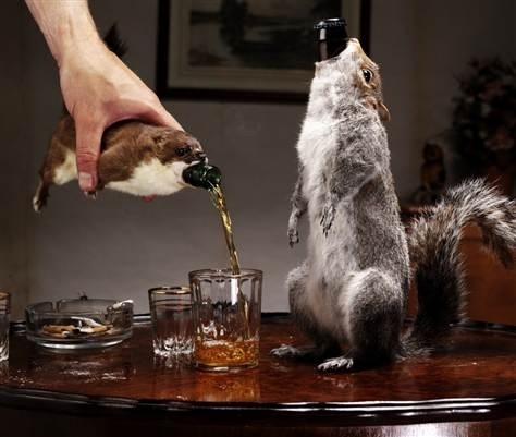 Squirrel Beer