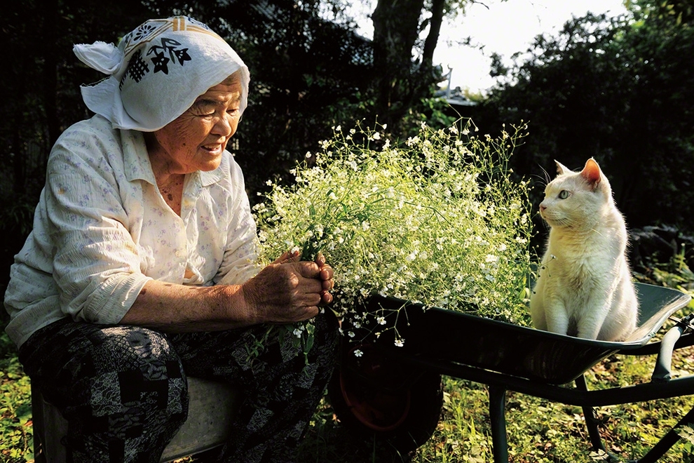 This Grandma And Her Cat Are The Cutest Best Friends Ever