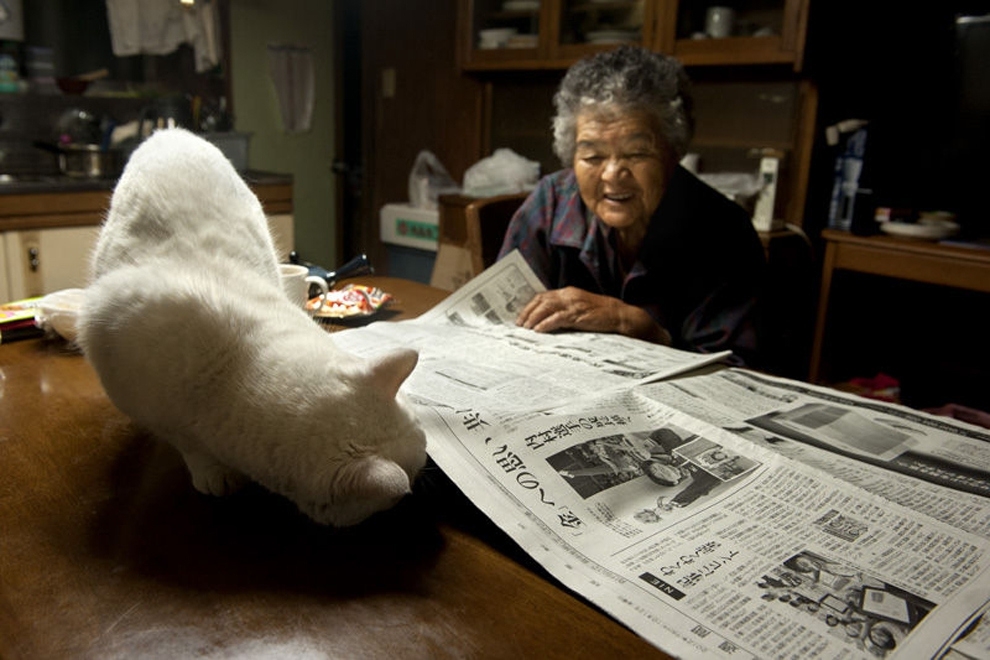 This Grandma And Her Cat Are The Cutest Best Friends Ever