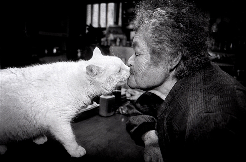 This Grandma And Her Cat Are The Cutest Best Friends Ever