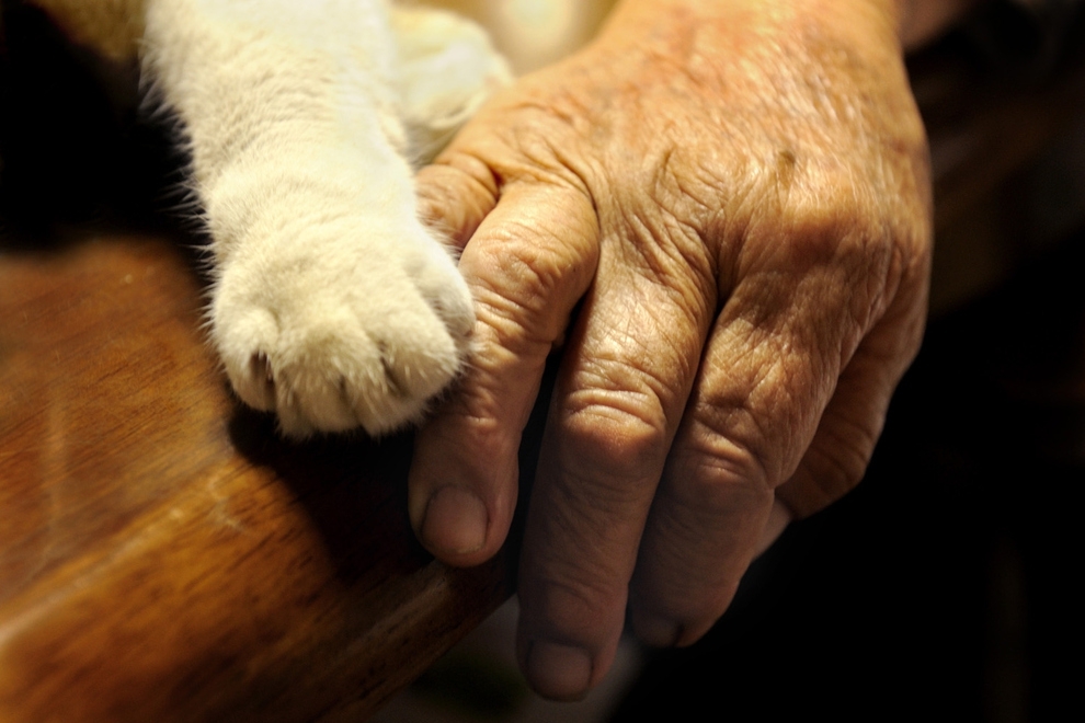 This Grandma And Her Cat Are The Cutest Best Friends Ever