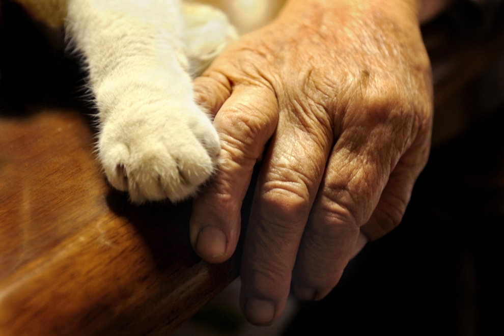 This Grandma And Her Cat Are The Cutest Best Friends Ever