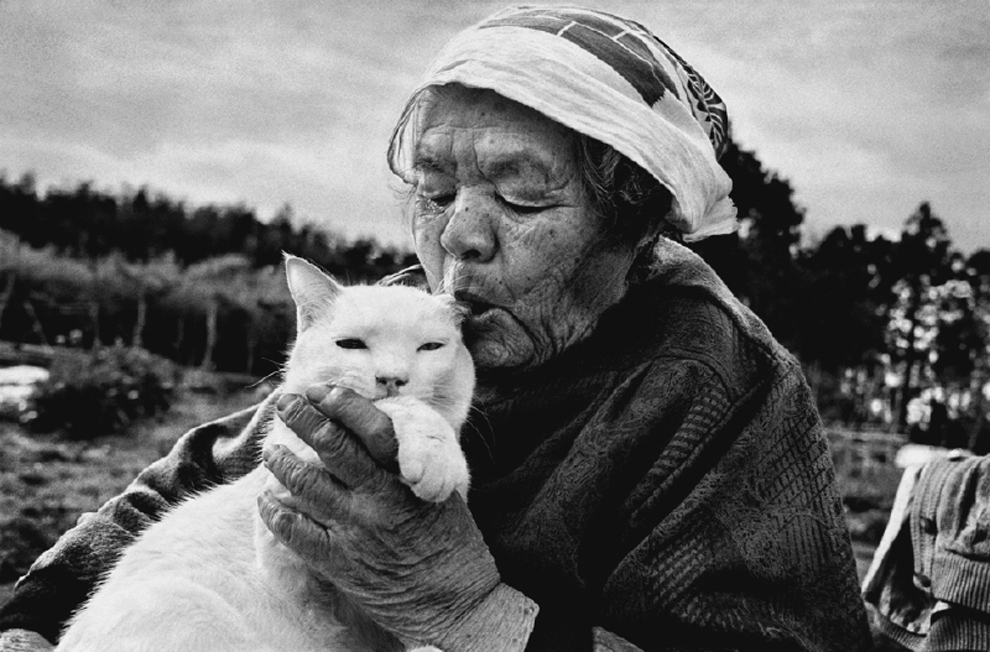 This Grandma And Her Cat Are The Cutest Best Friends Ever