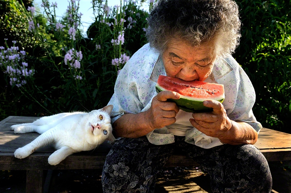 This Grandma And Her Cat Are The Cutest Best Friends Ever