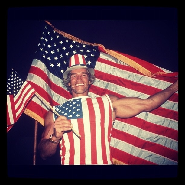 Arnold Schwarzenegger Tweeted This Patriotic Photo