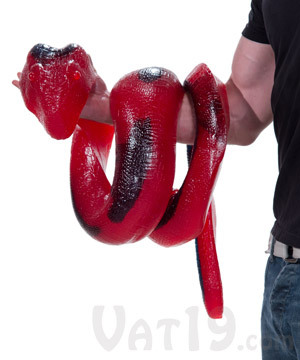 Giant Gummy Python