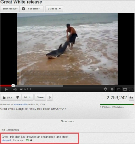 Best Youtube comments EVER. 