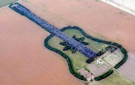Man plants forest in shape of guitar in honor of wife 