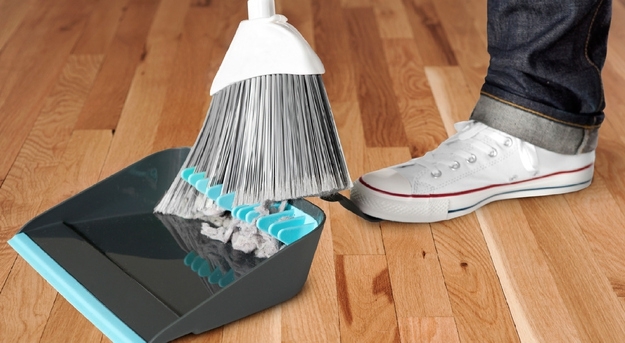 The Broom-Cleaning Dustpan