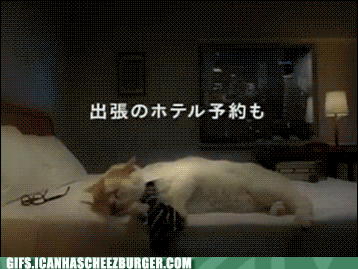 [GIFs]Adorable Animals Doing People Jobs