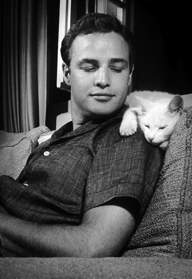 Is Marlon Brando The Hottest Man Ever?