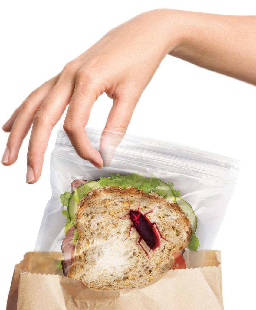 Anti Theft Lunch Bag