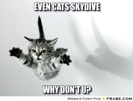 Flying Cats!