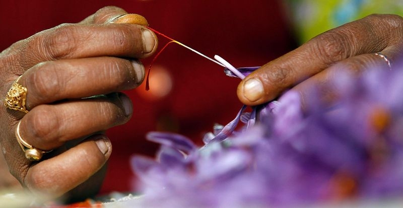 Saffron: One of the Most Expensive Spices in the World 