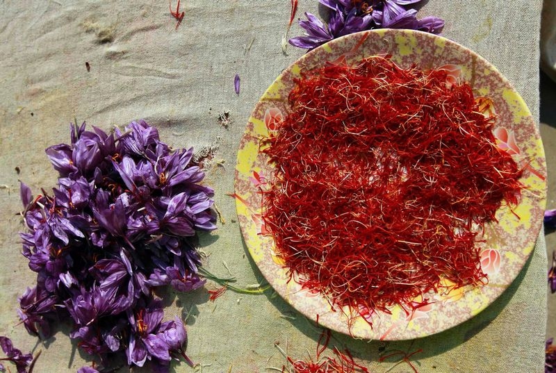 Saffron: One of the Most Expensive Spices in the World 