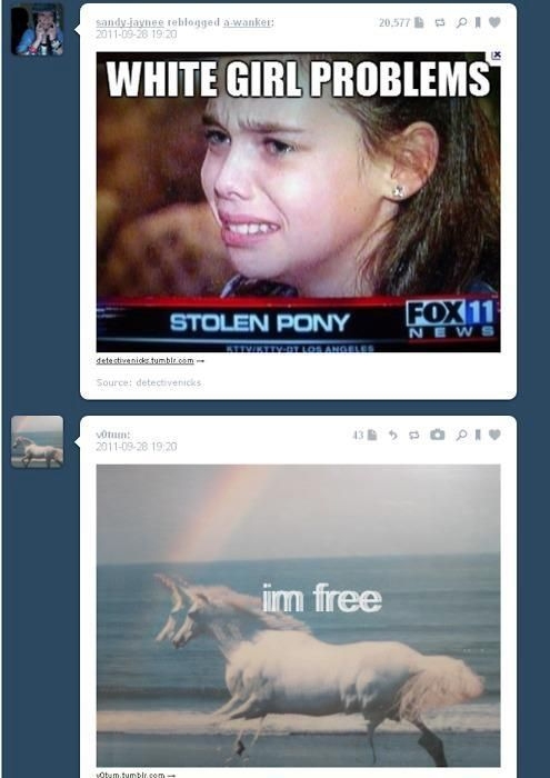 Funny Tumblr Coincidences
