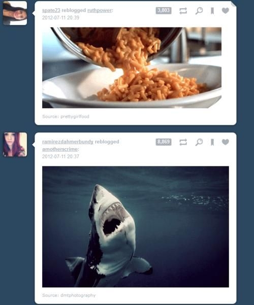 Funny Tumblr Coincidences 