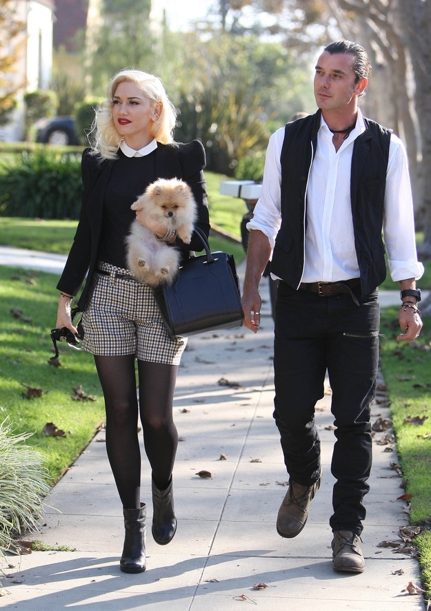 Gwen Stefani And Gavin Rossdale's Thanksgiving