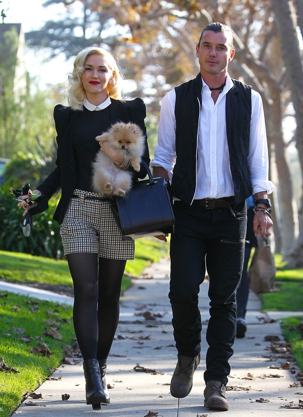 Gwen Stefani And Gavin Rossdale's Thanksgiving