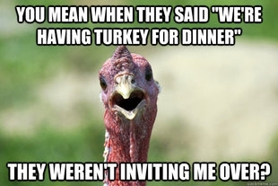 Hilarious Thanksgiving Demotivators 