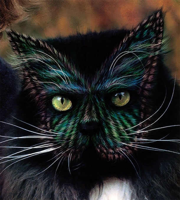 Colourful Cats - The Art Of Painted Kitties 