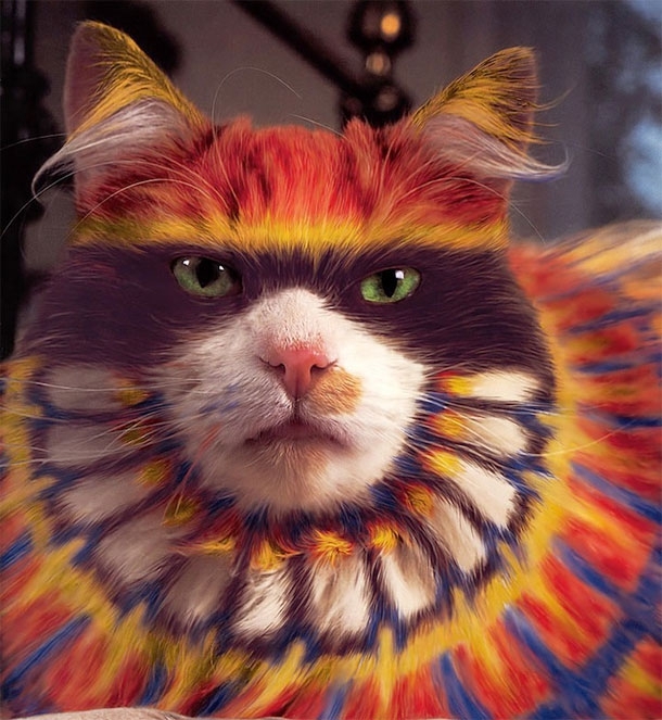 Colourful Cats - The Art Of Painted Kitties 