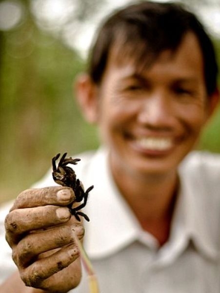 What Kids in Cambodia Have for Dessert 