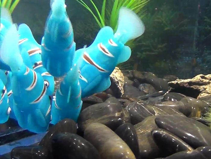 Who Needs Real Fish When You Could Have Robofish!?