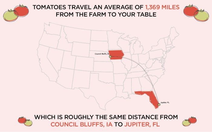 Food Travel in the USA 