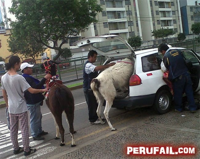 Only in Peru