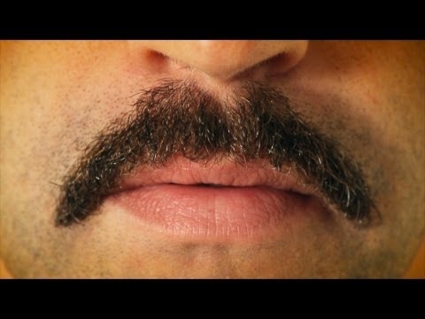 How To Kill a Mustache 
