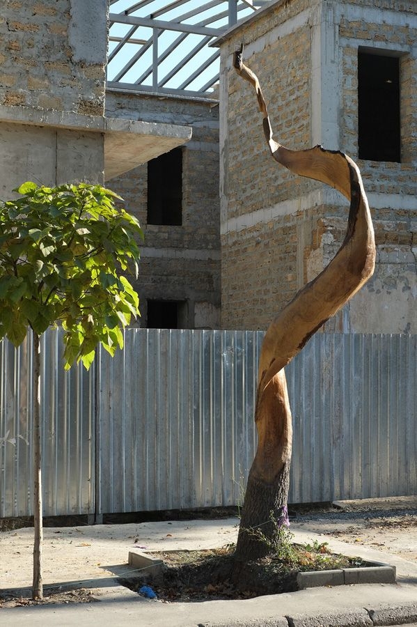 Sculptures Made of Wood 