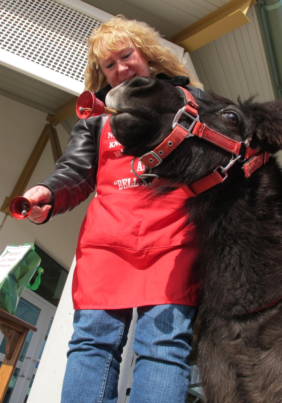 Meet Tinker, The Salvation Army Mini-Horse