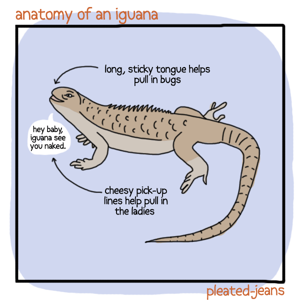 Anatomy of Desert Life
