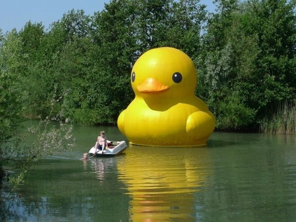 Giant Rubber Duckie Floatin' Along