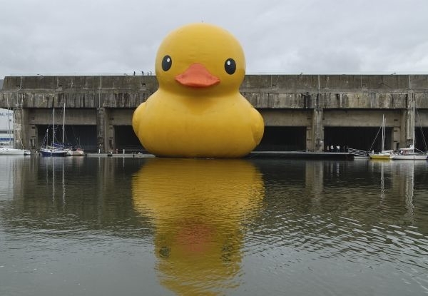 Giant Rubber Duckie Floatin' Along