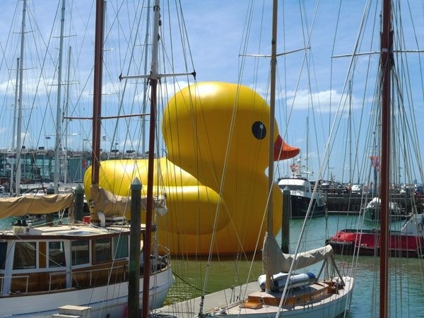 Giant Rubber Duckie Floatin' Along
