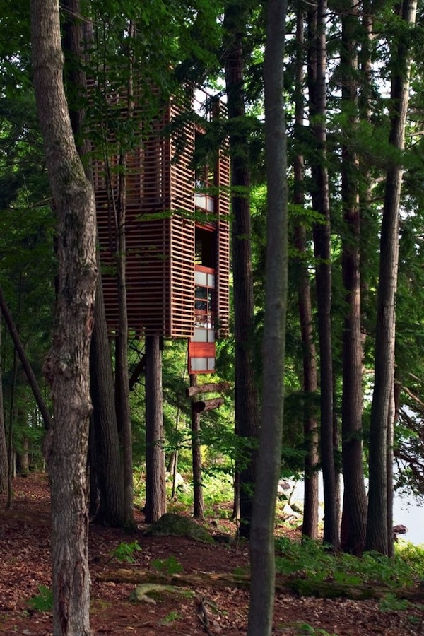 Dream Treehouses... for Adults!