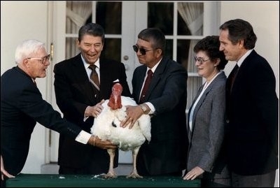 Awkward Moments Between Turkeys and Presidents