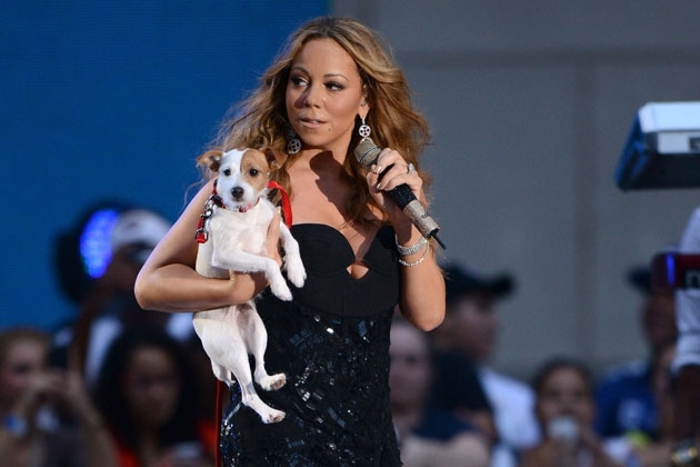 Celebrity Dogs That Are Definitely Having a Better Christmas Than You