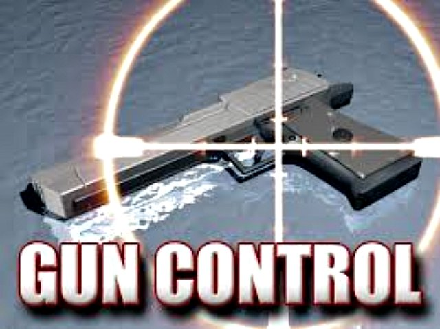 Gun Control? Gun Safety
