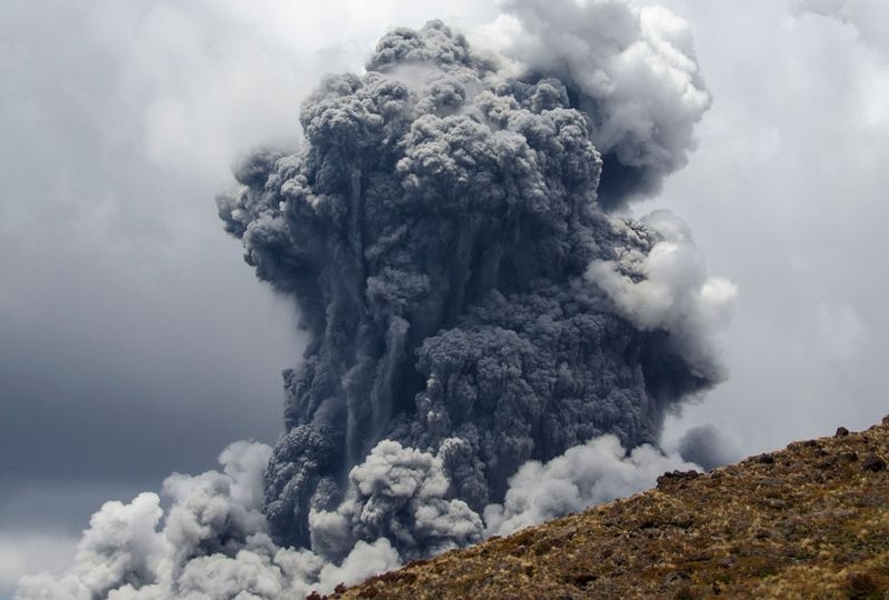 The Year Of Eruptions 