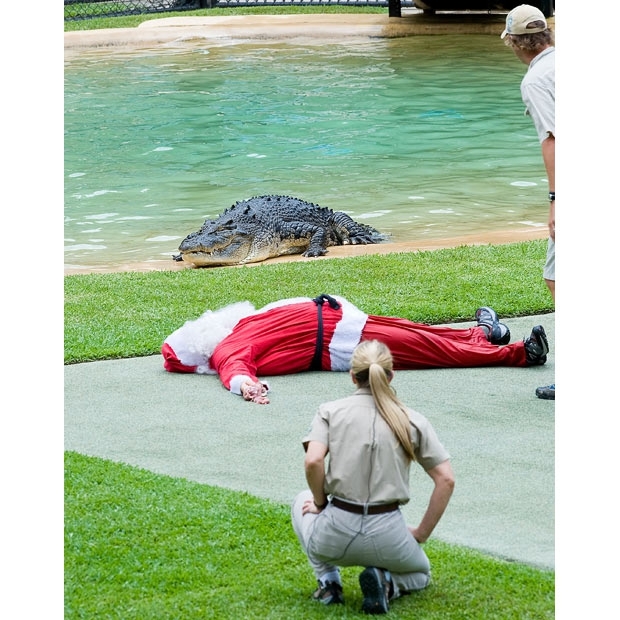 Santa Claus Got Slaughtered By a Gator
