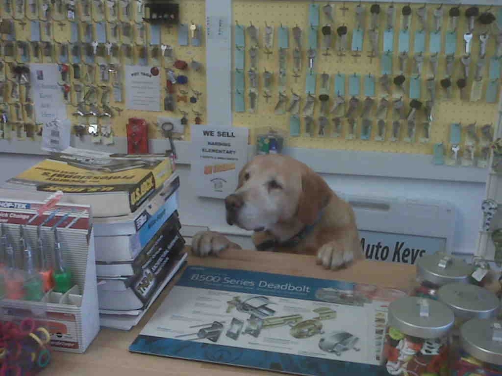 How May I Help You?