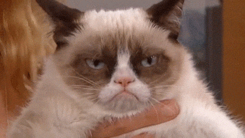 Best of Grumpy Cat 2012